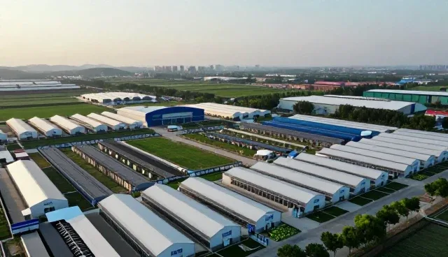 为什么越来越多电商代运营服务选择供应链优化方案